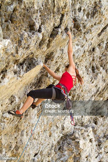 Woman Rockclimber - アルバータ州のストックフォトや画像を多数ご用意 - アルバータ州, エクストリームスポーツ, カナダ
