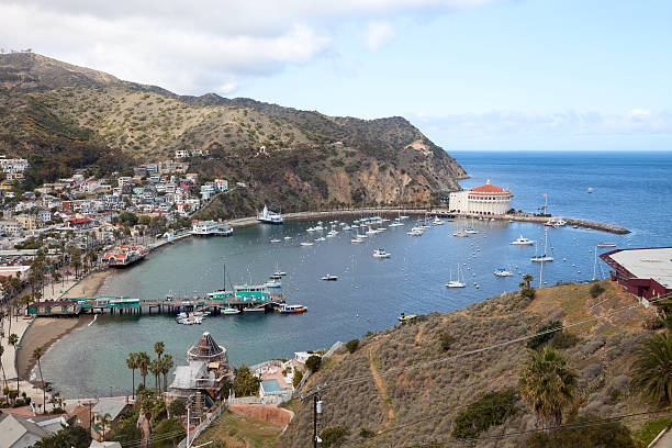 harbor en avalon, la isla catalina - avalon california fotografías e imágenes de stock