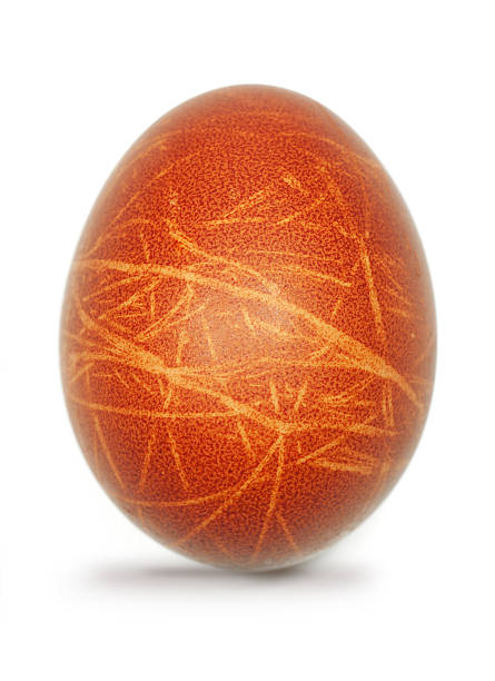 ręcznie malowane jajko wielkanocne - nobody nature selective focus hand colored zdjęcia i obrazy z banku zdjęć