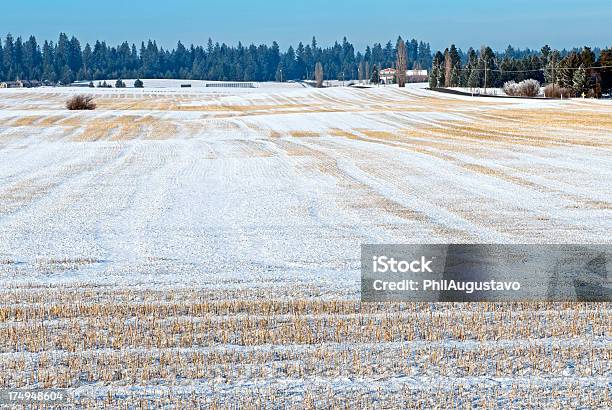 Coperta Di Neve Campo Di Grano In Eastern Washington - Fotografie stock e altre immagini di Cavo dell'alta tensione