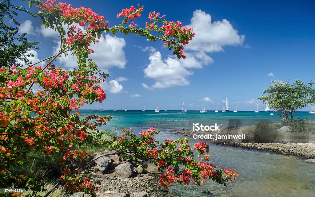 Île paradise - Photo de Antilles occidentales libre de droits