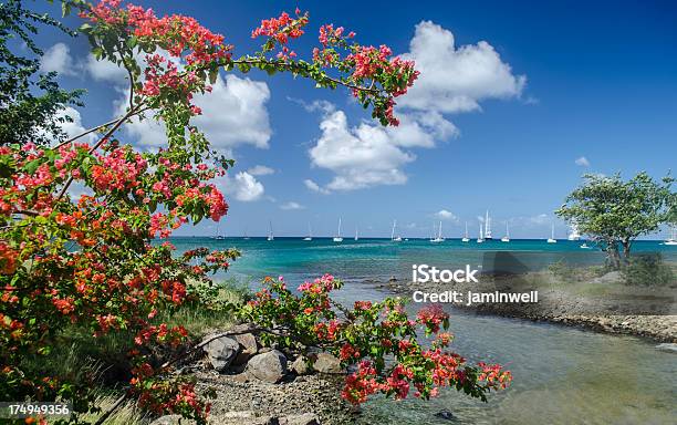 Photo libre de droit de Île Paradise banque d'images et plus d'images libres de droit de Antilles occidentales - Antilles occidentales, Bahamas, Bleu