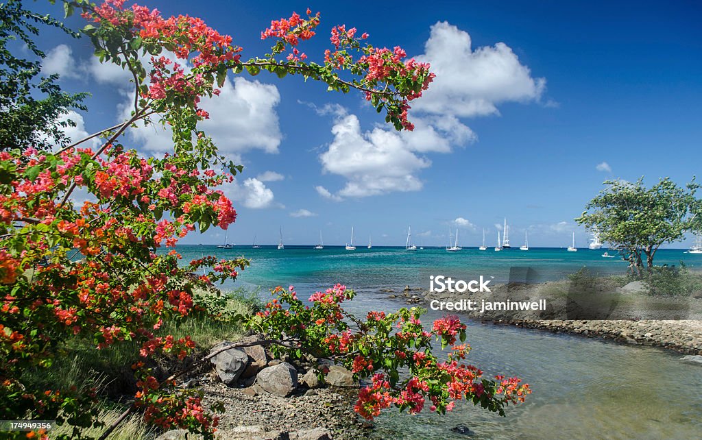Ilha paradise - Foto de stock de Azul royalty-free