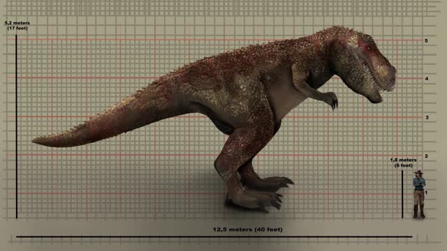 Animated T-Rex Dinosaur Against Height Chart.
