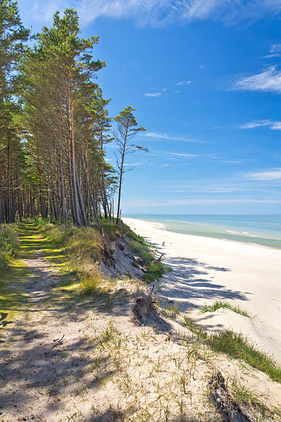 istock Polish seashore, Baltic sea 174949583