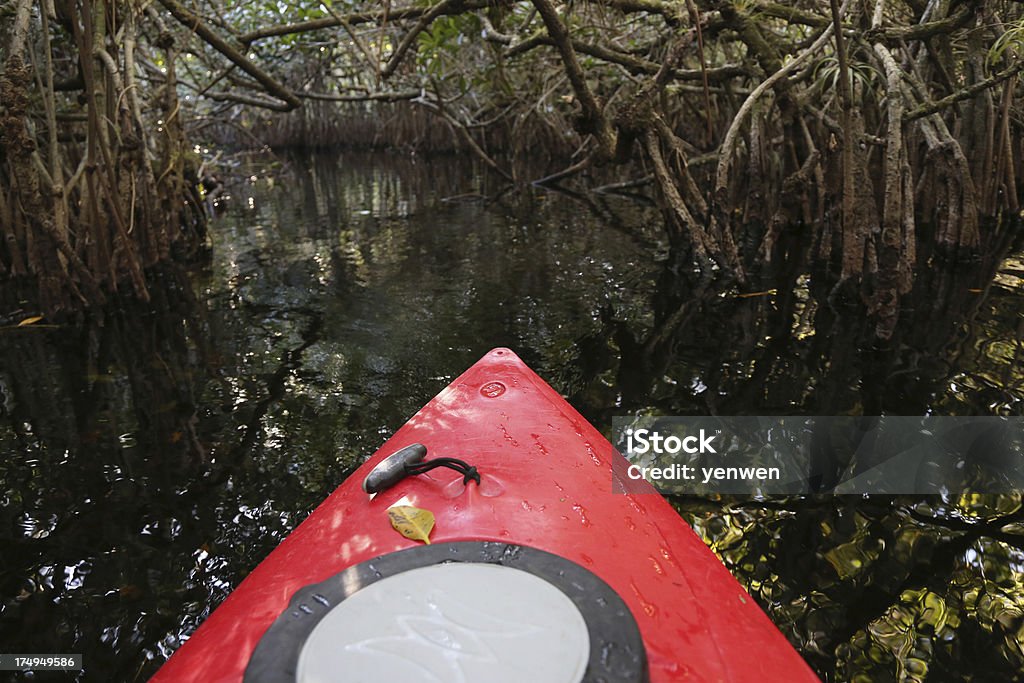 Pratique du kayak dans le parc National des Everglades - Photo de Activité de loisirs libre de droits