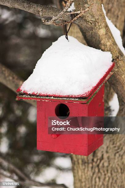 Budka Dla Ptaków Zimą Śnieg - zdjęcia stockowe i więcej obrazów Ogródek przydomowy - Ogródek przydomowy, Życie w domu, Bez ludzi