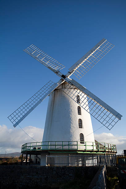 Lythsm windmill surrounded by daffodils