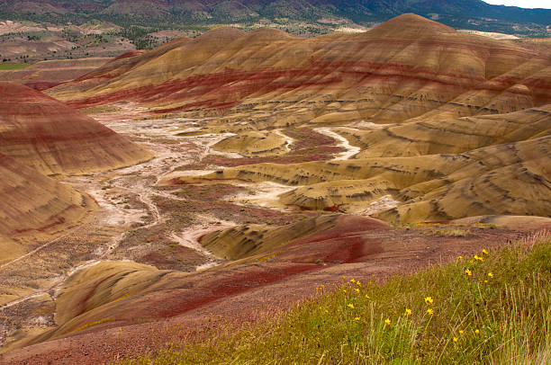 istock Painted Hills, Oregon,USA 174949869
