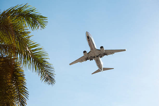 istock Passenger Airline Flight to Tropical Vacation Holiday 174950142