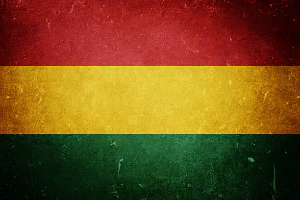 istock Flag of Bolivia 174950338