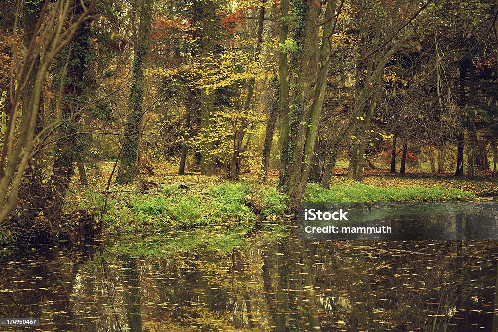 Herbst See lake - Lizenzfrei Baum Stock-Foto