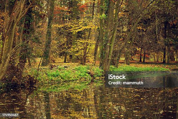 Autunno Al Lago - Fotografie stock e altre immagini di Acqua - Acqua, Acqua stagnante, Albero