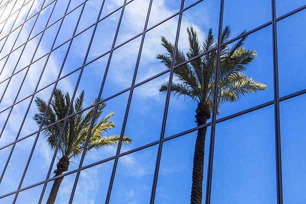 Palm Trees Reflection on Glass Office Building stock photo