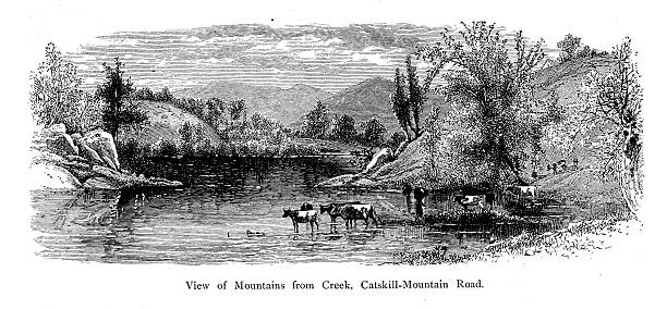 illustrazioni stock, clip art, cartoni animati e icone di tendenza di monti catskill, new york - catskill creek plateau mountain peak riverbank