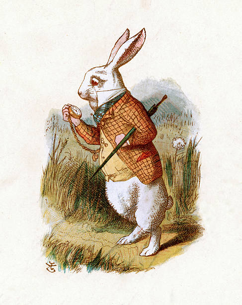 biały królik-alice w krainie cudów - sprawdzać czas ilustracje stock illustrations