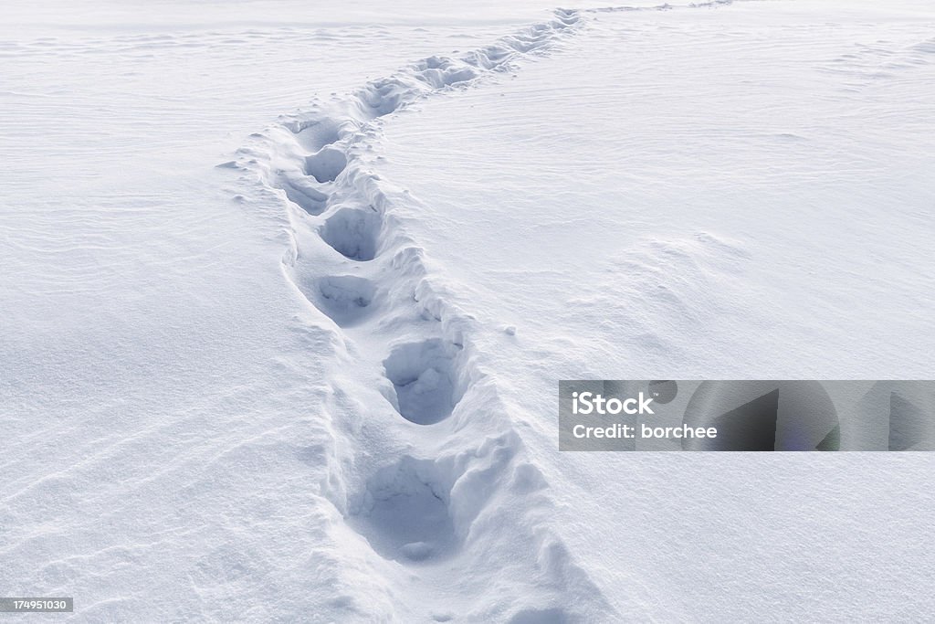 Footprints na Neve - Royalty-free Ao Ar Livre Foto de stock