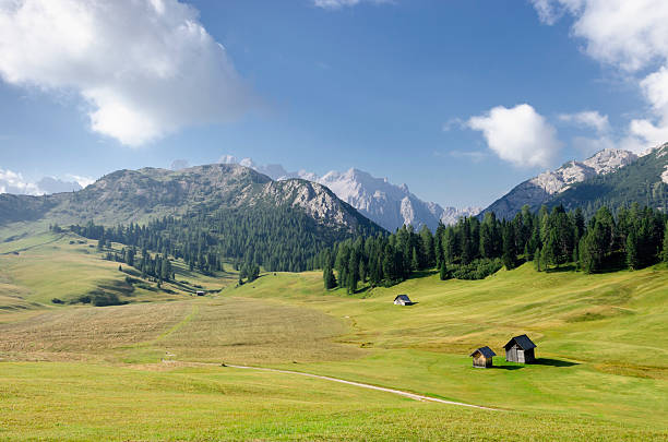 istock Morning near Sennes in Dolomites 174951115