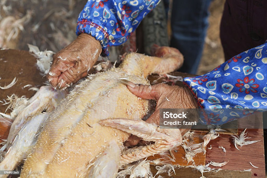 Pato butchering - Royalty-free Animal Foto de stock