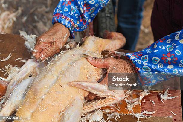 Pato Butchering - Fotografias de stock e mais imagens de Animal - Animal, Animal morto, Assustador