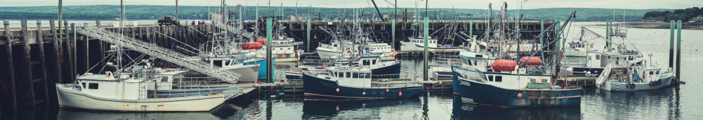 A panoramic view of the Digby wharf and scallop fleet on an overcast afternoon. Stitched images.