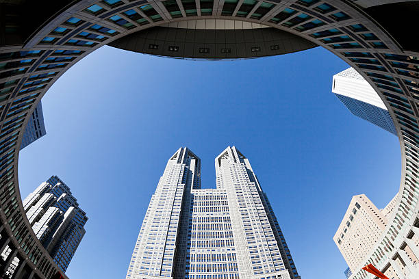 istock Tokyo Metropolitan Government 174951451