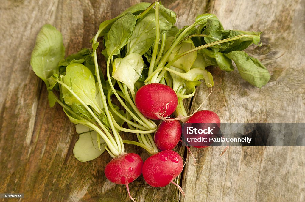 厳選された新鮮な radishes - アブラナ科のロイヤリティフリーストックフォト