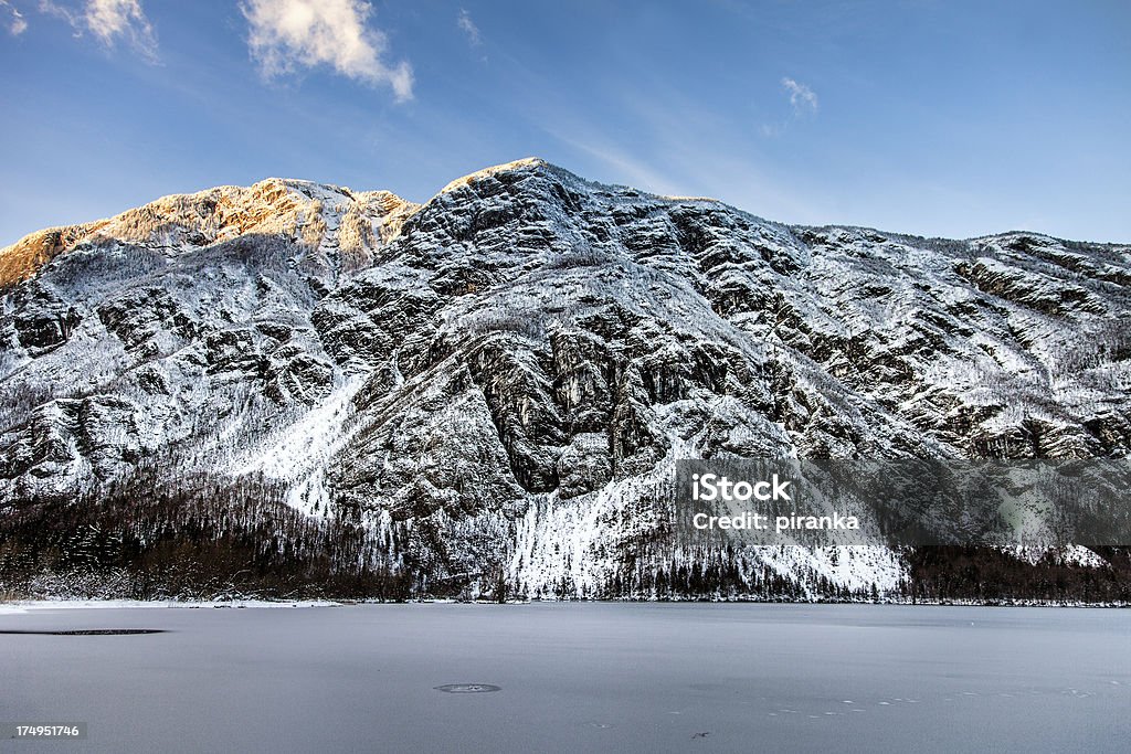 Frozen alpine Lac de Bohinj - Photo de Alpes européennes libre de droits