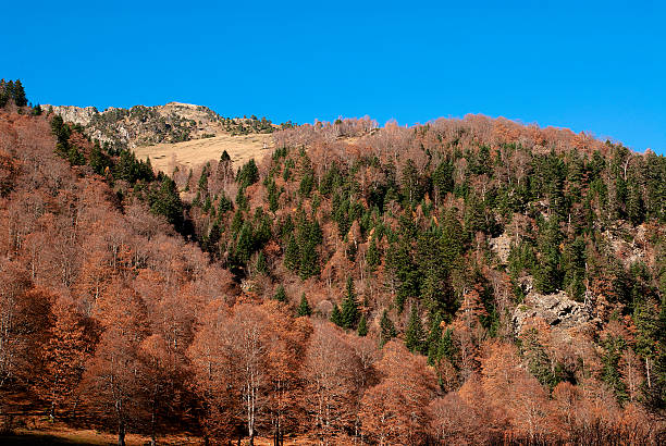 Outono montanha com Pyerenees - fotografia de stock
