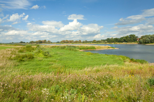 River Elbe Landscape in Summer