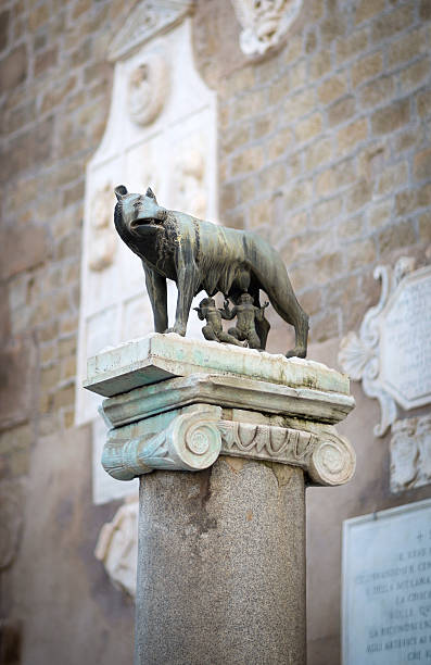 lupa capitolina simbolo della città di roma, italia - piazza del campidoglio statue rome animal foto e immagini stock