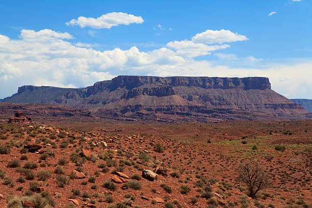 istock Red rock mesa, Colorado, USA 174953925