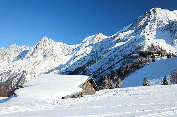 istock Snow hill with buried 174953942