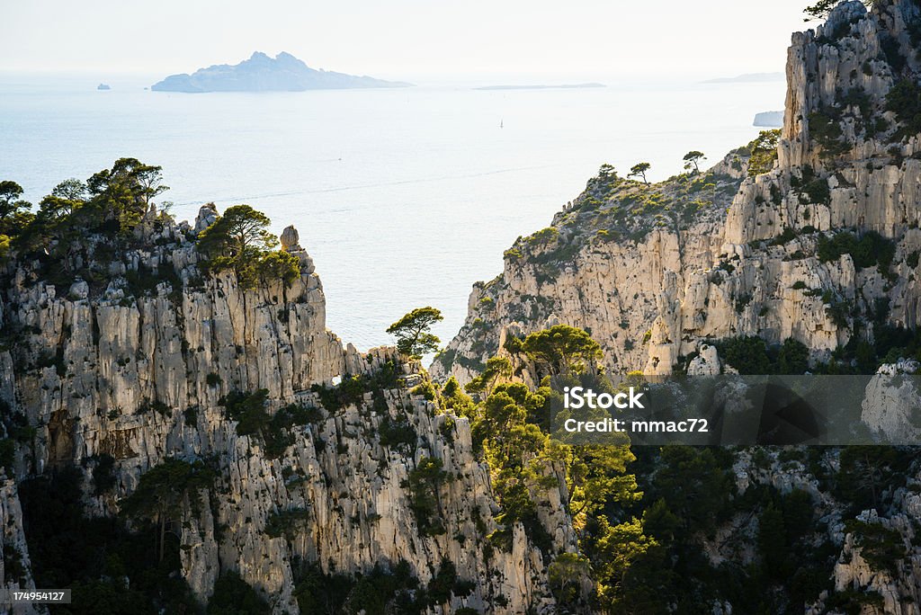 Calanques - Lizenzfrei Baum Stock-Foto