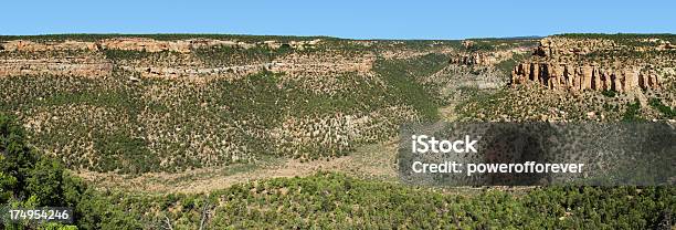 Panorama Von Klippe Canyonmesa Verde National Park Colorado Stockfoto und mehr Bilder von Baum