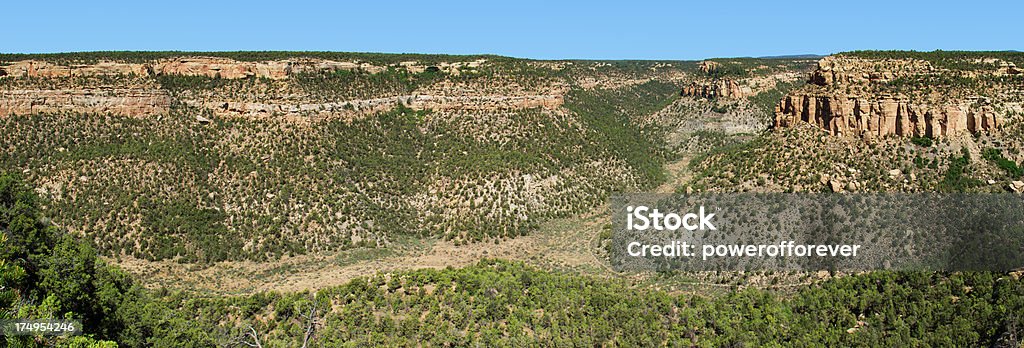 Panoramica di Cliff Canyon-Parco Nazionale di Mesa Verde, Colorado - Foto stock royalty-free di Albero