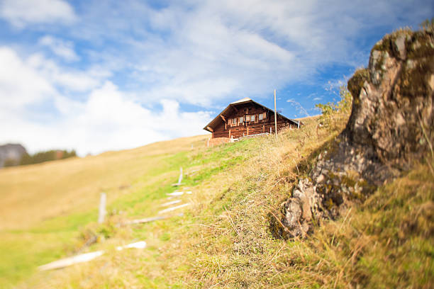 Wooden house in the middle of mixed green forest.