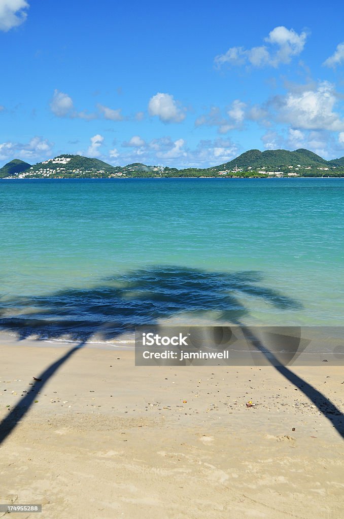 palm trees shadow kiss как показано на пляж - Стоковые фото Багамские острова роялти-фри