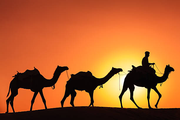 istock Indian man with camels during crossing sandunes 174955938