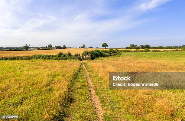 Cancello - Fotografie stock e altre immagini di Accessibilità - Accessibilità, Agricoltura, Albero