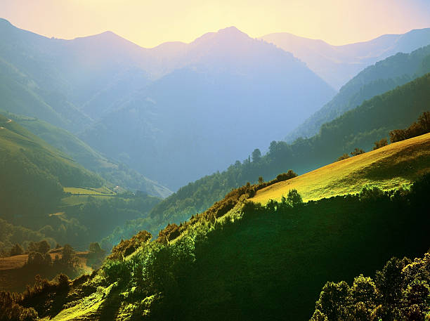 pirenei - pyrenean foto e immagini stock