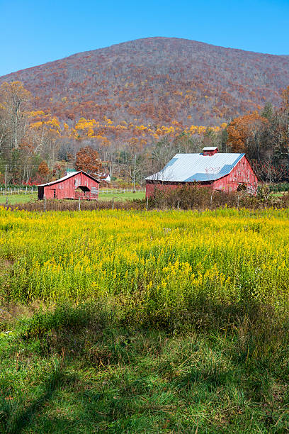 Beautiful rural landscape in southwest Virginia