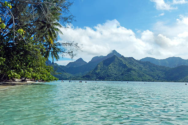 istock Moorea Opunohu Bay 174956812