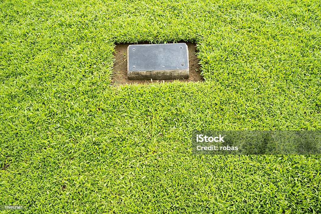 Grass field mit bronze-Teller und Textfreiraum - Lizenzfrei Ansicht aus erhöhter Perspektive Stock-Foto