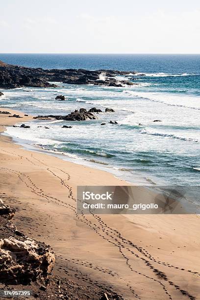 Vulkanische Meer Insel Fuerteventura Stockfoto und mehr Bilder von Abenteuer - Abenteuer, Anhöhe, Atlantikinseln