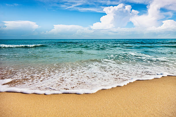 istock Beach in Puglia, Italy 174957534