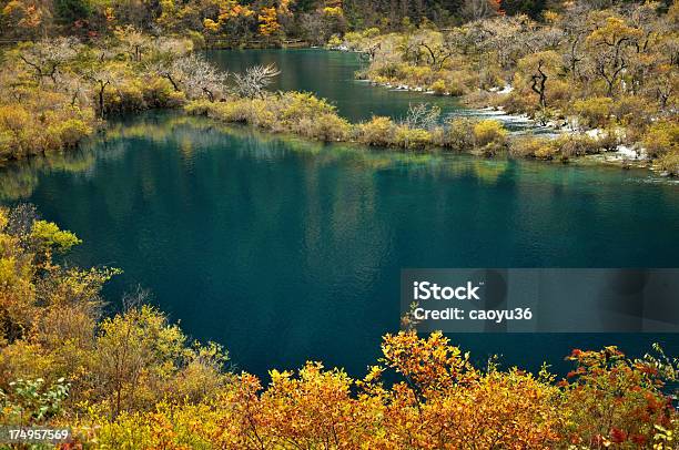 Belleza En La Naturaleza Foto de stock y más banco de imágenes de Aire libre - Aire libre, Amarillo - Color, Asia