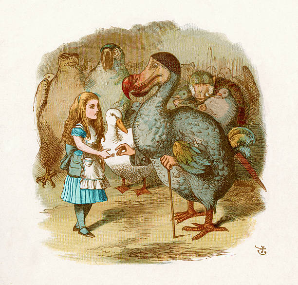 Alice in Wonderland "Alice and the Dodo, from the Lewis Carroll Story Alice in Wonderland, Illustration by Sir John Tenniel 1871" john tenniel stock illustrations