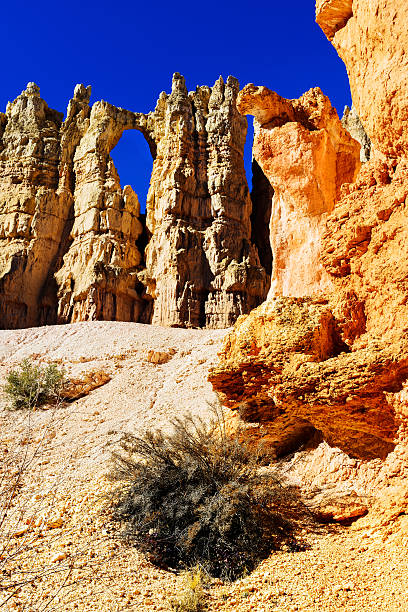 istock Wall of Windows, Bryce National Park, Utah 174957961