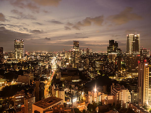 istock Tokyo at night Japan 174958016